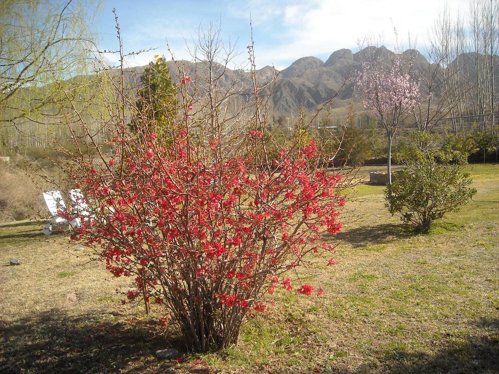 Rio Mendoza Lodge *